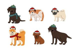 Cute set of dogs in winter knitted red white green blue hats and scarfs. Labrador retriever, poodle puppy, buldog, akita inu, pug. Vector illustration isolated on white background