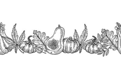 calabazas con hojas de otoño ilustración de estilo de dibujo de borde transparente. diseño de repetición horizontal de cosecha y acción de gracias en blanco vector