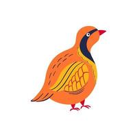 partridge vector illustration. hand-drawn stylized ground bird