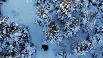 Aerial Video of Family Sliding in Nature