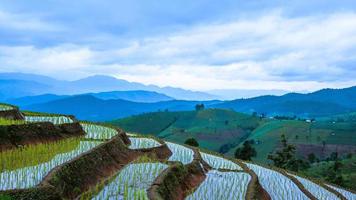 Landscape rice field Nature Tours On a mountain with a terraced field Evening landscap. in Thailand Pongpeng Forest. photo