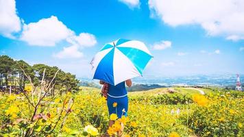 Asian women travel sleep relax. women hill tribe umbrella stand in the field of flowers. Thailand photo