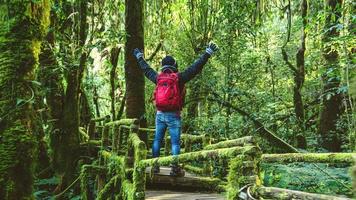 Young men travel to study nature in the rainforest. Walking on a bridge with many mosses and beautiful photo