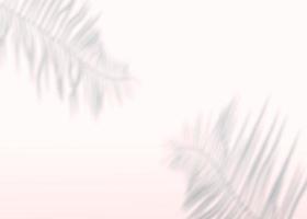Abstract background of shadows palm leaves on a wall. 3d rendering. photo