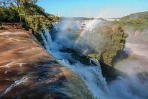 Rainbow colorido ambiente verano soleado bosque de abetos con césped y árboles en cascada foto