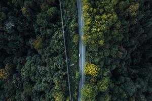 Drone view over a road through a forest photo