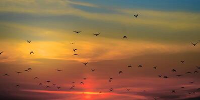 Beautiful yellow and orange sky evening beauty and Clouds at sunset , dawn, the rays of the sun break through the clouds. Natural photo