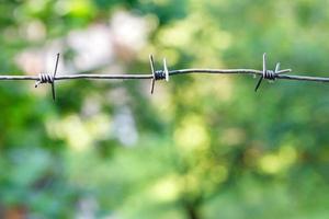 Metal barbed wire on light green blurred background of summer garden. photo