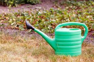 A ten-liter green plastic watering can stands on dry grass. photo