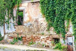 The rickety wall of the dilapidated old house was overgrown with wild grapes.