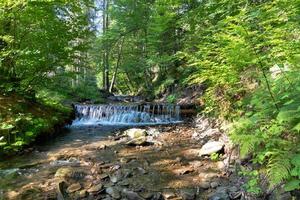 Mountain river among the green Carpathian forest on a bright sunny day. photo