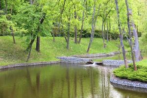 un lago del bosque rodeado de árboles en un hermoso parque, enmarcado por orillas de adoquines en los rayos de luz suave. foto