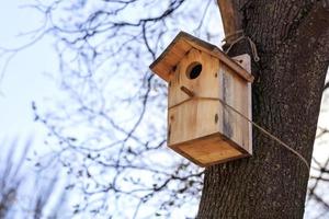 una nueva pajarera está sujeta con una cuerda en lo alto de un roble en un parque de primavera. foto