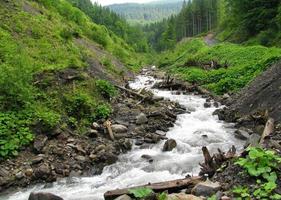 Mountain river runs from the peaks of the Carpathian Mountains among the boulders and old logs between the hills. photo