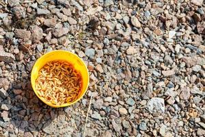 Maggot worms swarm in a yellow fishing bucket against the background of crushed granite under the harsh sunlight. photo