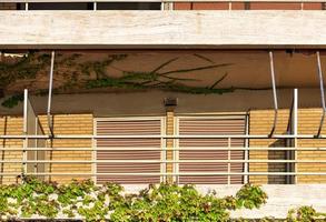 Wild grapes climb along the wooden parapet of the exterior balcony of the house. photo