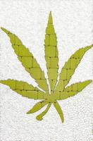 The green cannabis leaf is lined with paving stones. Medical marijuana cultivation concept.