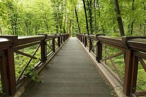 A new large wide wooden bridge in the park, crossing the gorge photo