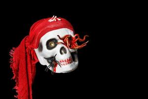 Halloween, skull doll in a red bandana and an octopus in the eye socket and a spider on the cheekbone, isolated on a black background. photo