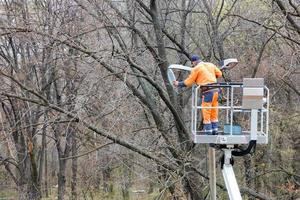 A utility worker changes a light bulb on a street lighting pole against the backdrop of the park's trees. photo
