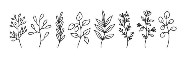 Botanical floral doodles isolated on white background. Set of abstract twigs with leaves of different shapes. Hand-drawn vector illustration. Perfect for cards, invitations, decorations.