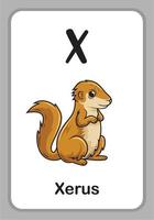 tarjetas educativas del alfabeto animal - x para xerus vector