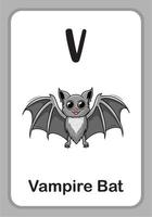 Animal Alphabet Education Flashcards - V for Vampire Bat vector