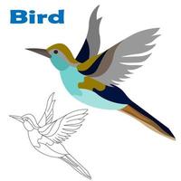 Top picture of  bird in color and line. bird in flight with open wings. Coloring book. Vector isolated illustration.