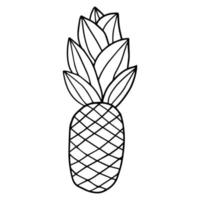 Cartoon hand drawn doodle pineapple vector