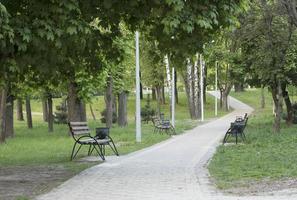 El camino trazado con bancos de madera se va en la distancia en el parque de verano de la ciudad. foto