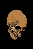 Skull artwork style engraving illustration vector