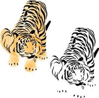 The year of tiger hand paint vector