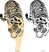 tigre de pintura de mano de acuarela vector