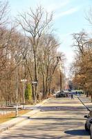 A community service team does spring cleaning and pruning of dry and diseased trees in a city park. photo