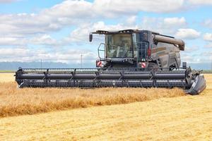 A large combine harvester harvesting wheat on a summer day. photo