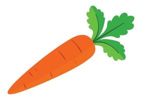 Ilustración vectorial de zanahoria aislado sobre fondo blanco. vector