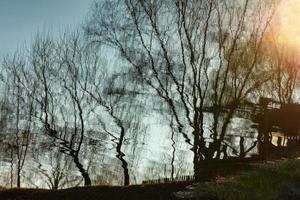 Blurry reflection of bare trees in the water at sunset. photo