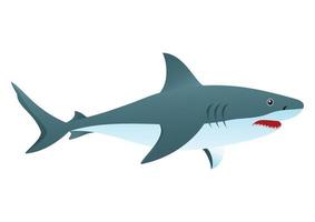 Ilustración vectorial de tiburón aislado sobre fondo blanco. vector