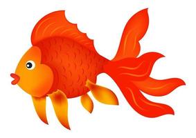 Vector Illustration of Red Fish isolated on white background. Cartoon Aquarium Fish