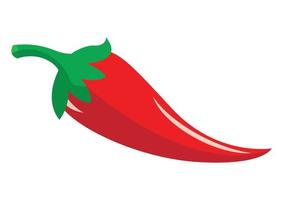 Ilustración vectorial de pimiento aislado sobre fondo blanco. vector