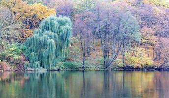 colores pastel del parque de otoño y el lago del bosque. foto