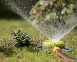 Portable sprinkler sprays water on the lawn ang gras photo