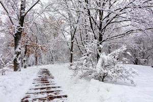 The path on the slope of the oak grove in the city park covered with snow. photo