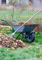 A garden cart with collected fallen yellow leaves and dry grass and a metal rake stands on the green grass of the lawn.