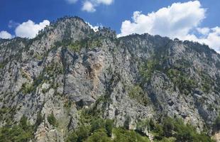 la alta montaña rocosa de montenegro está cubierta de una vegetación rara. foto