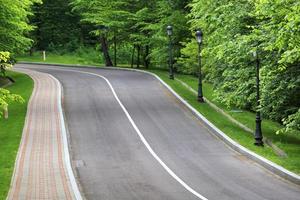 A winding asphalt road and sidewalk for pedestrians through a park with many beautiful vertical vintage lights photo