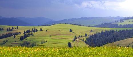 Beautiful panorama of the Carpathian Mountains in summer sunlight pours on a green grassy hill illuminating the way along a dirt rural road photo