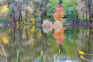 paisaje de un lago de bosque otoñal con el reflejo de árboles coloridos en el agua. foto