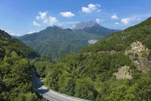 la verde vegetación de las montañas montenegrinas foto