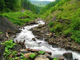 A cascade of boulders and old logs on the path of a fast mountain river between the hills of the Carpathian Mountains.